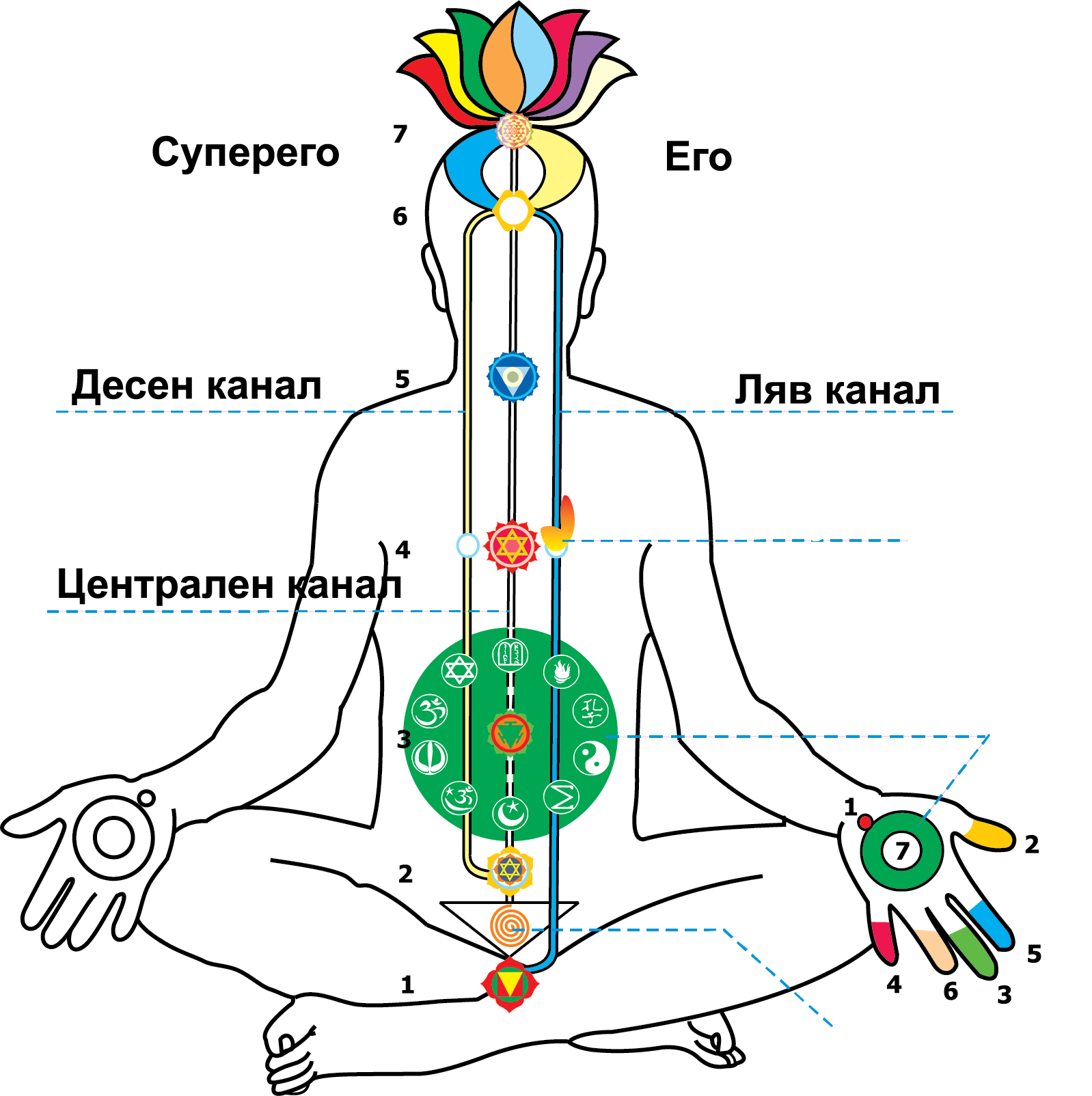system